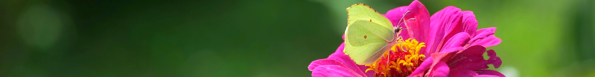 Jaar: <span>2025</span>