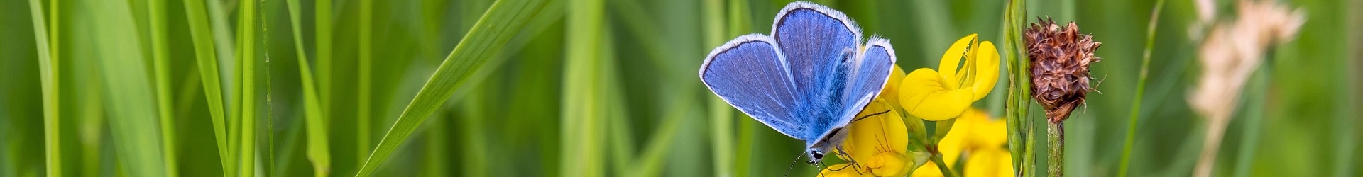 Auteur: <span>admin</span>